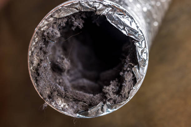Best Air Duct Cleaning Near Me  in Cashmere, WA